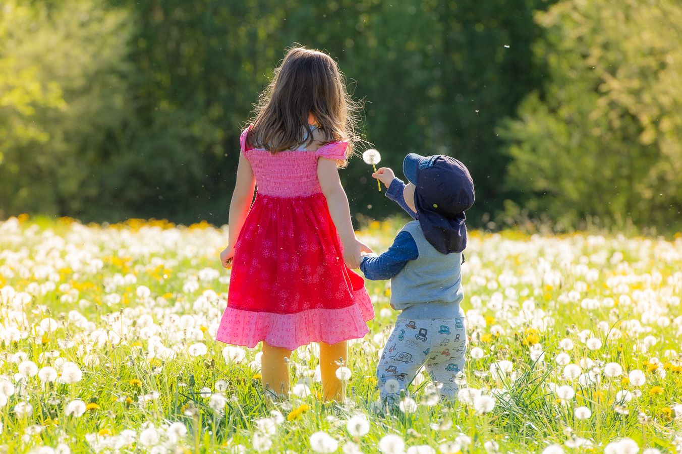 Große Schwester und kleiner Bruder auf einer blühenden Frühlingswiese